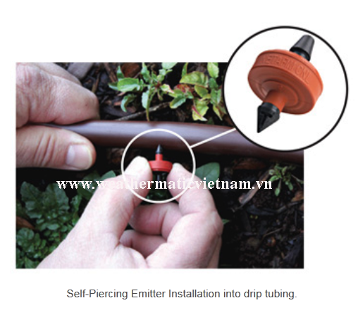 TƯỚI NHỎ GIỌT SÂN VƯỜN