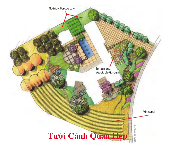 TƯỚI NHỎ GIỌT CON ĐƯỜNG HẸP