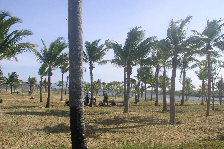 Thi công tưới cảnh quan