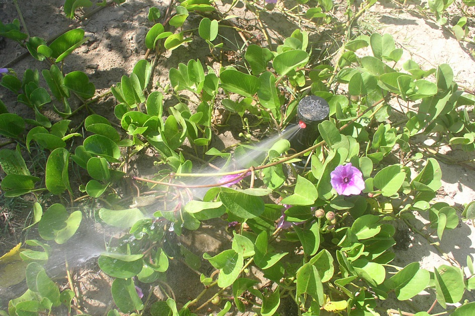 P1010168