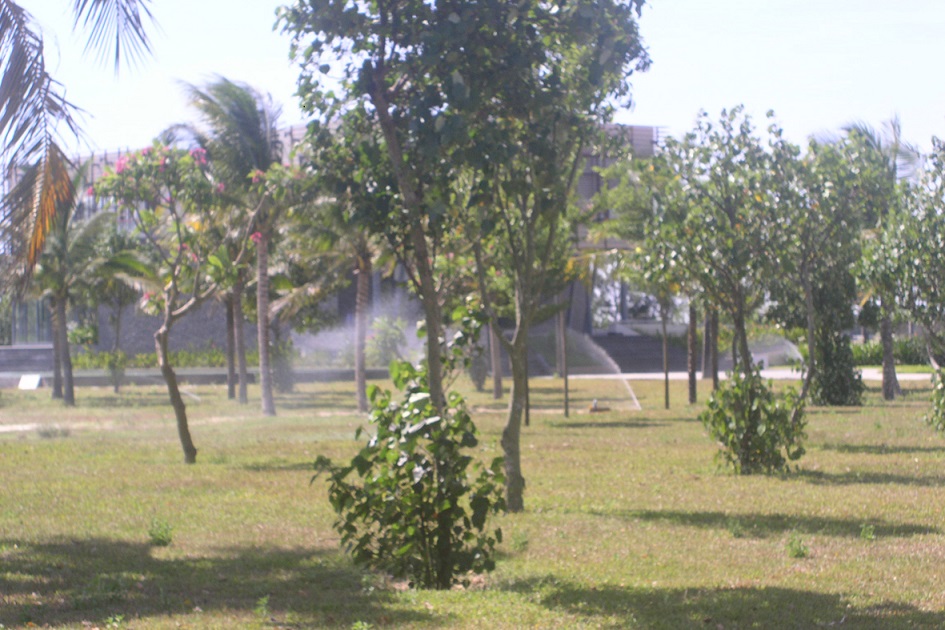 Thi công tưới cảnh quan