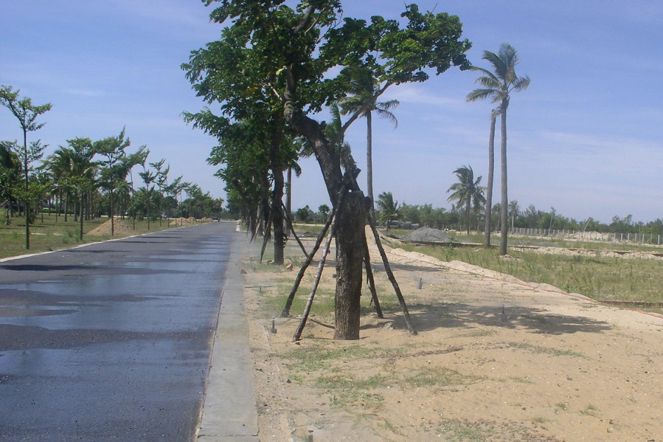 Thi công tưới cảnh quan