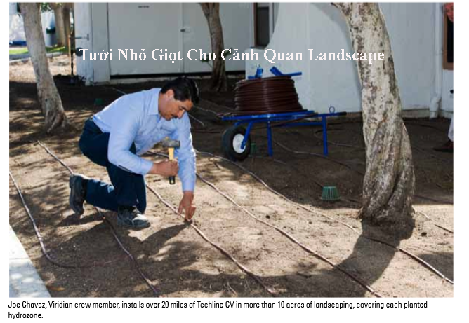 tuoi-nho-giot-canh-quan-landcape